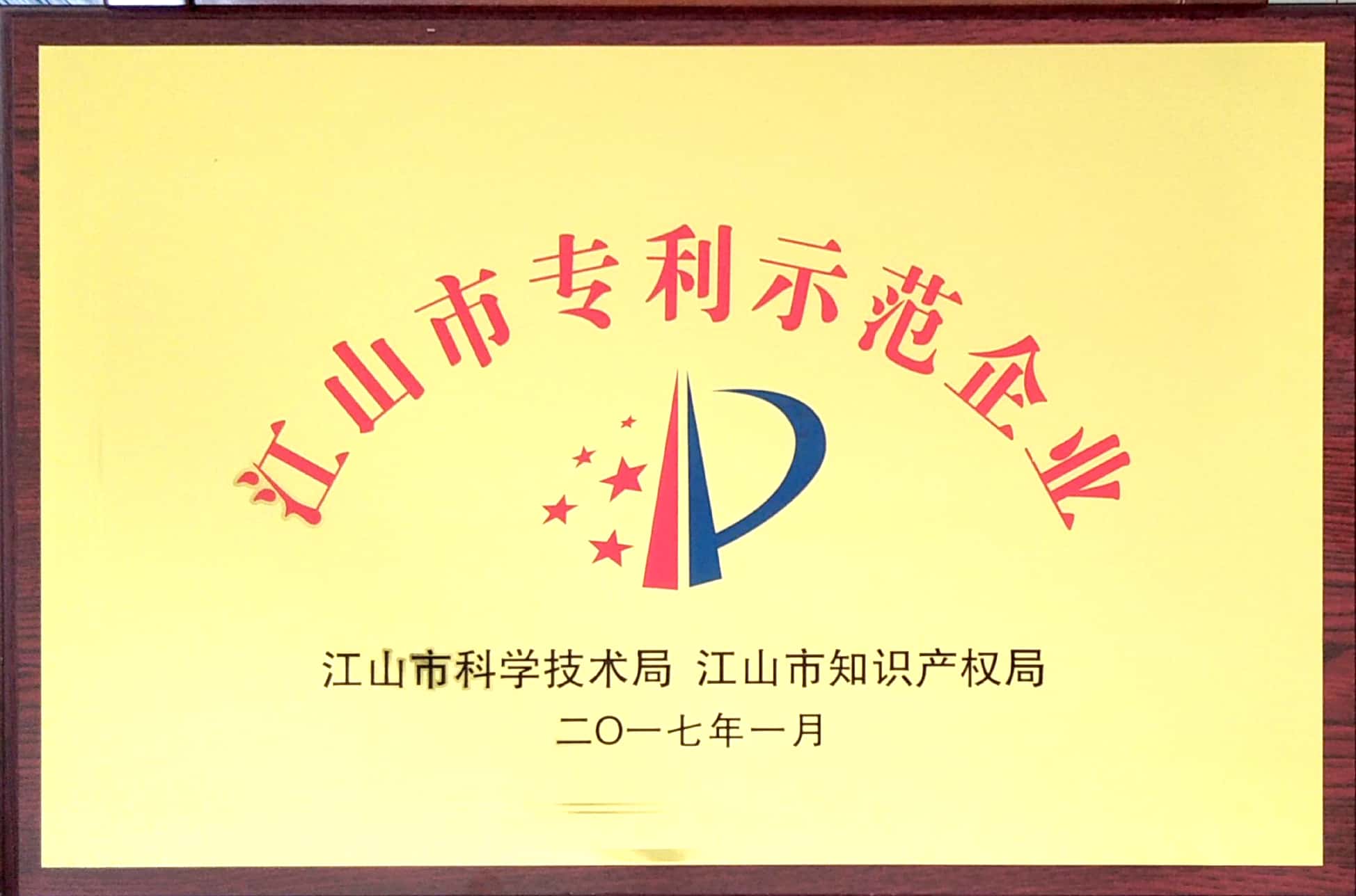 江山市專利示范企業